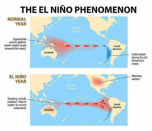 Is El Niño the elephant in Paris or will it change the mindset there?
