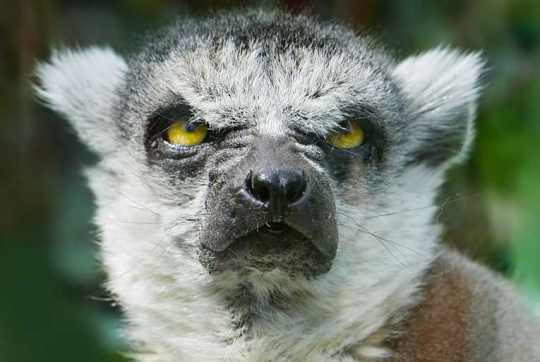 Latest IUCN news on threats to species everywhere !