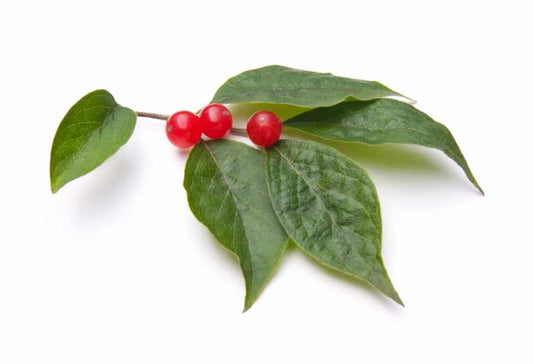 Native plants pushed out by introduced species as cities grow