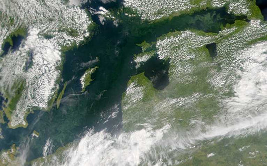 Eye in the sky watching Arctic blooms