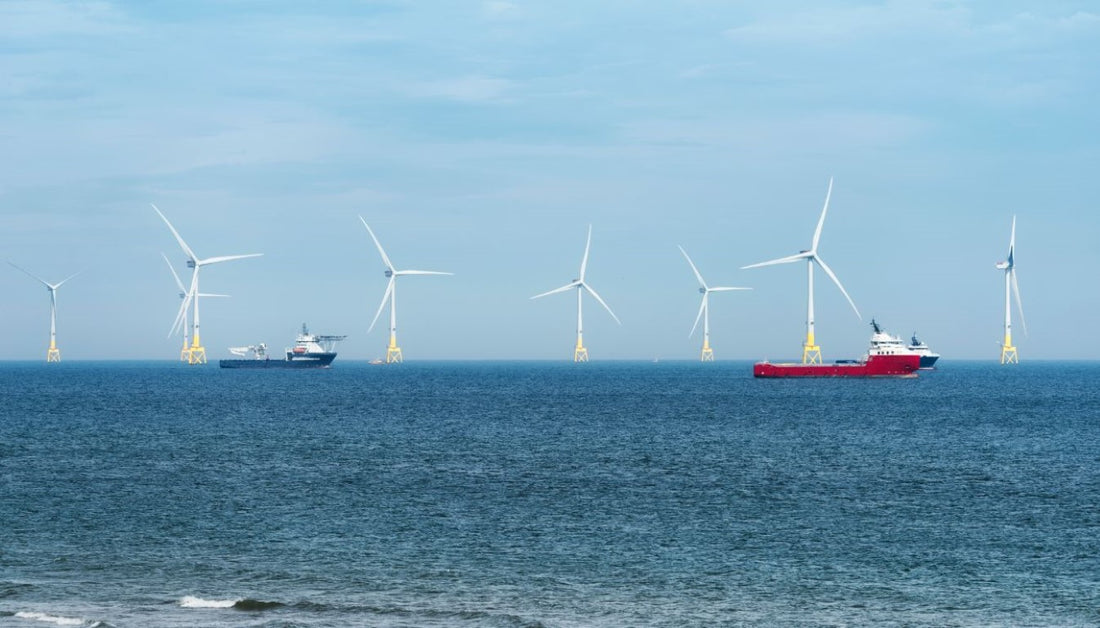 Energy Policy Goes Green: Towards Sustainability