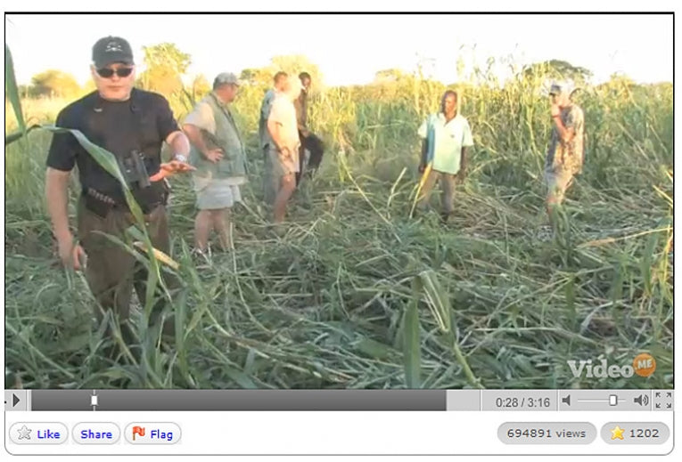 Elephant Killing Causes Internet Controversy