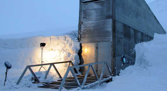 Third birthday for Arctic stronghold of biodiversity celebrated with very cautious optimism