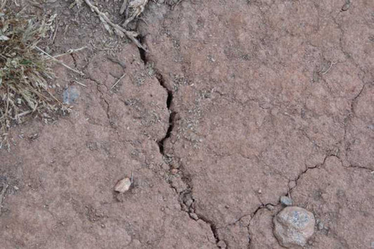 ICTs to help Africa cope with Climate change