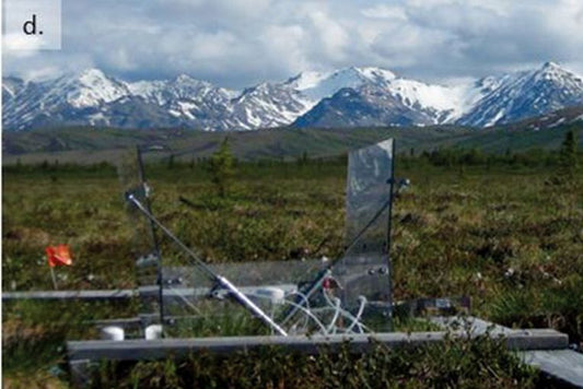 Climate change and permafrost loss