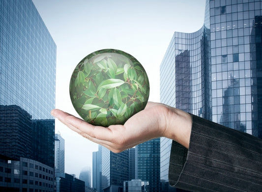 ALEC Lets Corporations Craft Environmental Policy