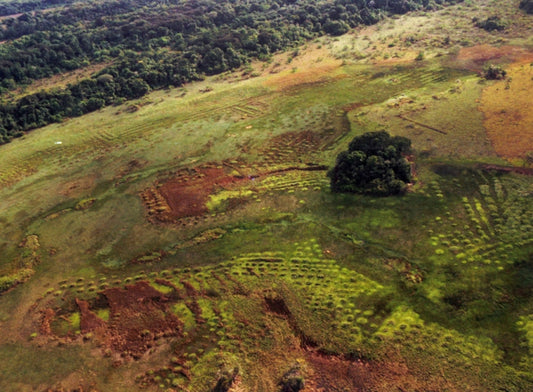 Amazonian Solutions from 1200 A.D.