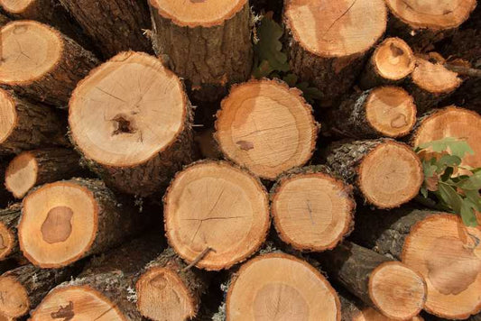 Area of sustainably managed forest increases