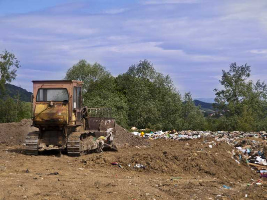 Bacteria transform landfill methane