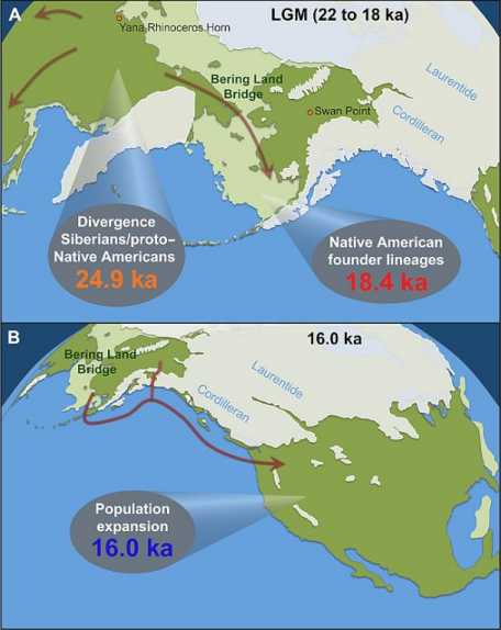 History laid bare by genetics.