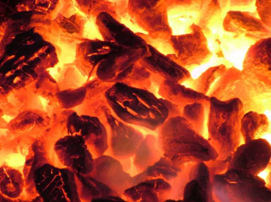 Big Coal plays politics in US