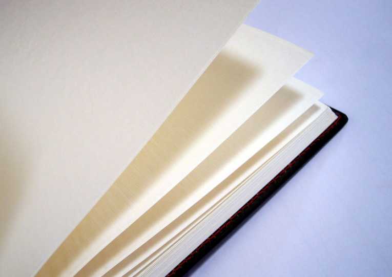 Kids' books 'use paper that destroys rainforests'