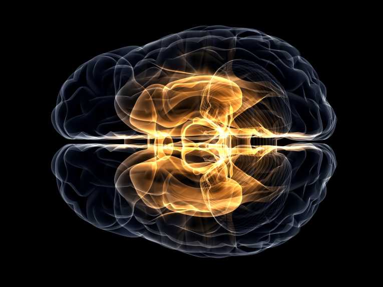 Brain works differently 'far from the madding crowd'