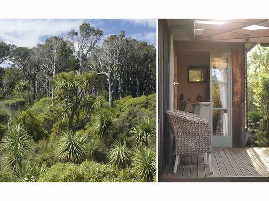 Bushy Point Fernbirds, an eco-friendly bed and breakfast