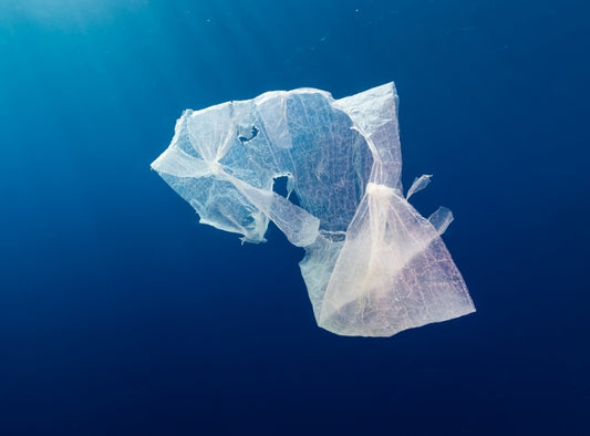 A carrier bag tax is coming to a shop near you