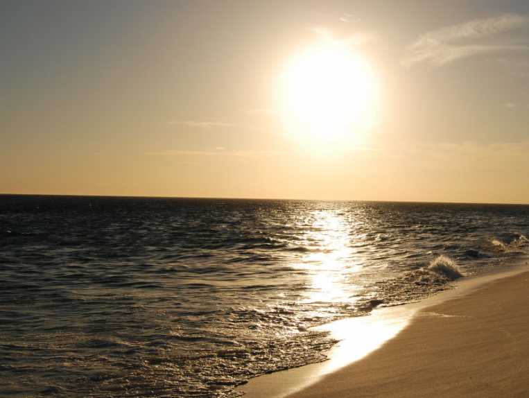 Climate Talks Bring Progress in the Fight Against Global Warming