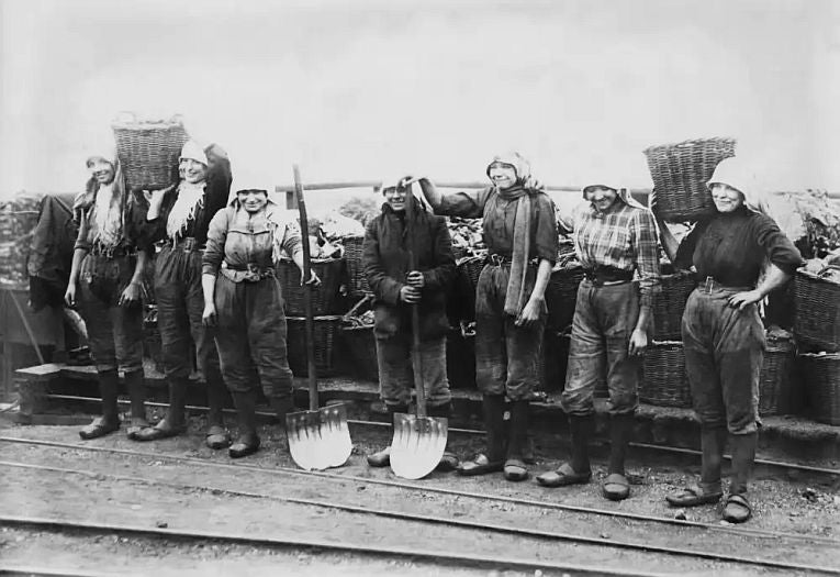 Fossil divestments trend is killing coal.