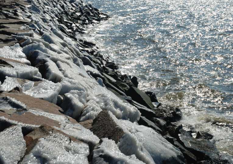 The effects of a colder Bering Sea on the feeding habits of pollock