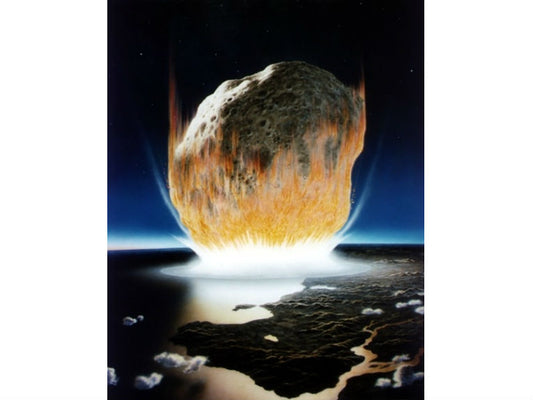 Comets helped bring about life on Earth