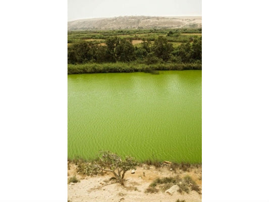 Congo Hydroelectric May-be's