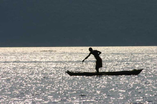 Congo Moves to Protect Rights of Indigenous Communities.