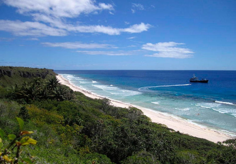 Conservation mission to save petrels on Henderson Island underway