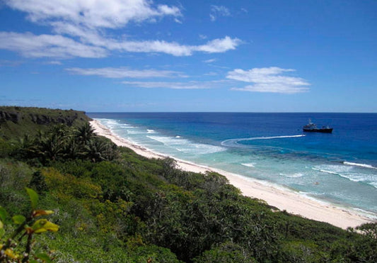 Conservation mission to save petrels on Henderson Island underway
