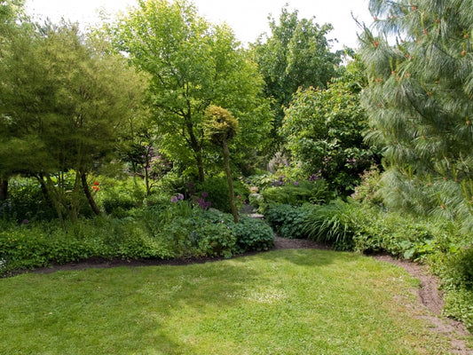 Create an Energy Efficient Garden