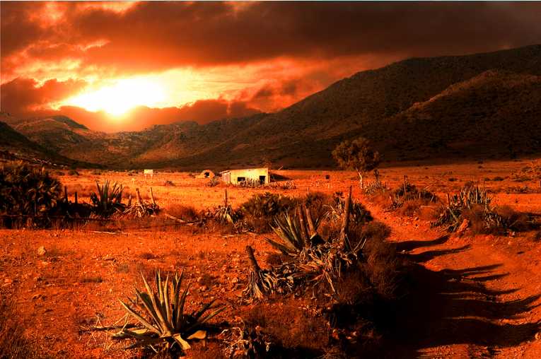 Desertification on the march UN meeting hears