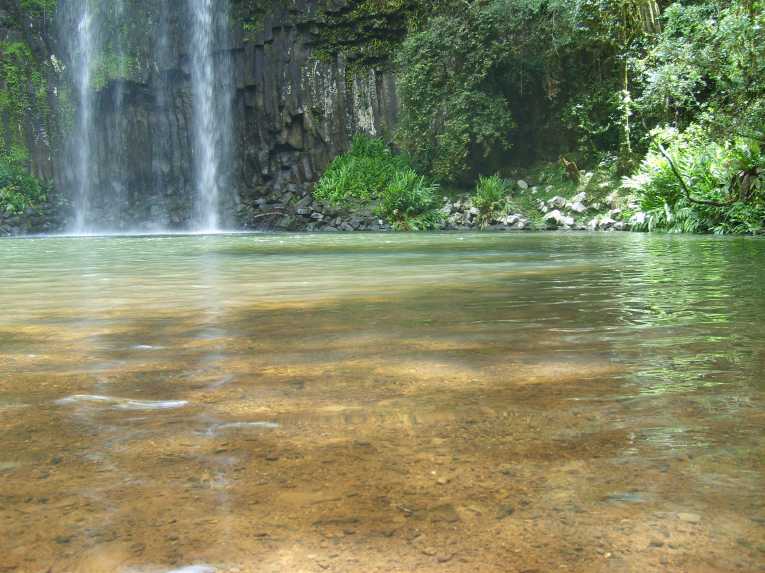 Discover the natural wonder of Australia's Green Cauldron