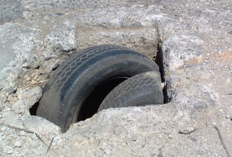 Environmental Concerns in the Developed World