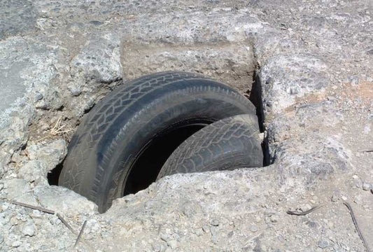 Environmental Concerns in the Developed World