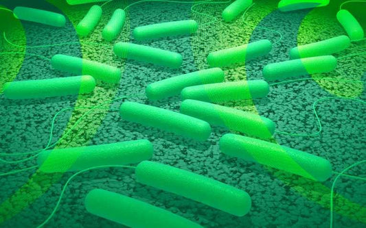 Environmental Health