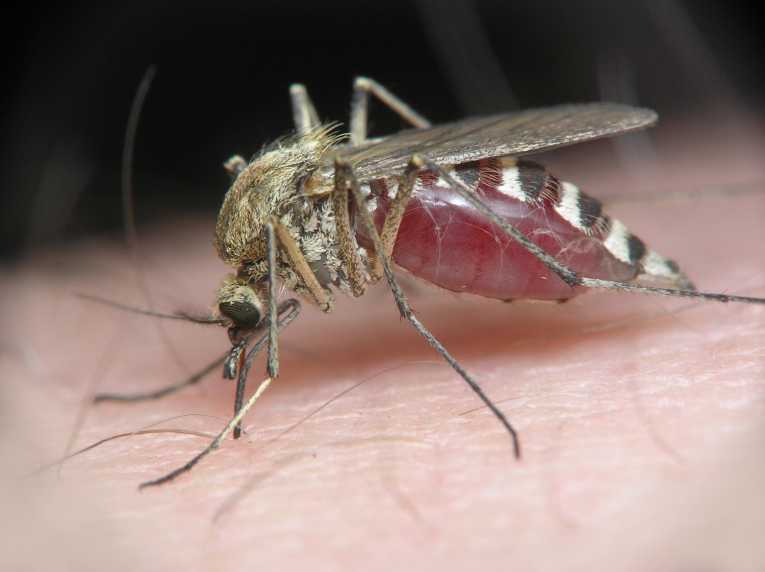 15 environmental issues with far-reaching implications for the Earth's biodiversity