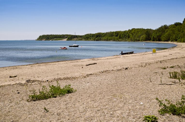 US lakes have increased threat of toxin