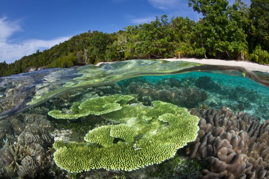 WMO report on more pollution