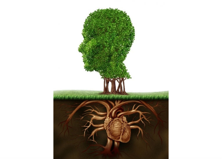 Evolution in medicine - Part I