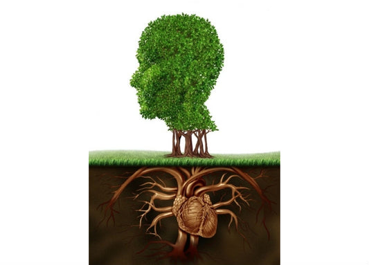 Evolution in medicine - Part I