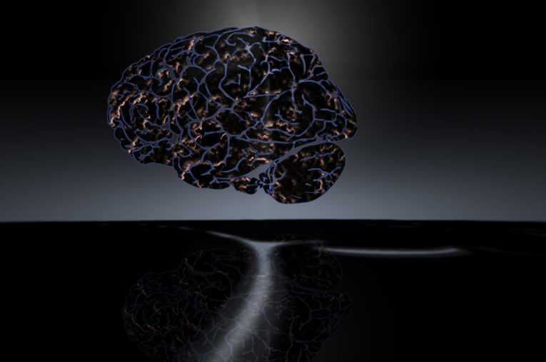 Of fish and Alzheimer's