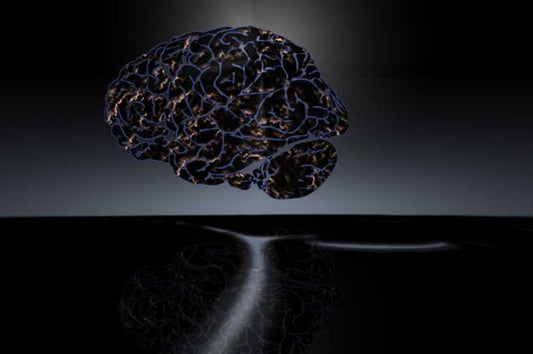 Of fish and Alzheimer's