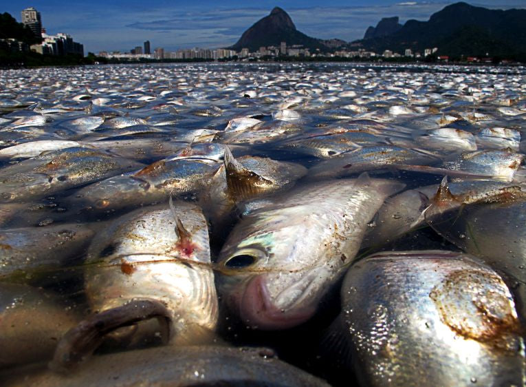 Photography competition (Atkins CIWEM) for all