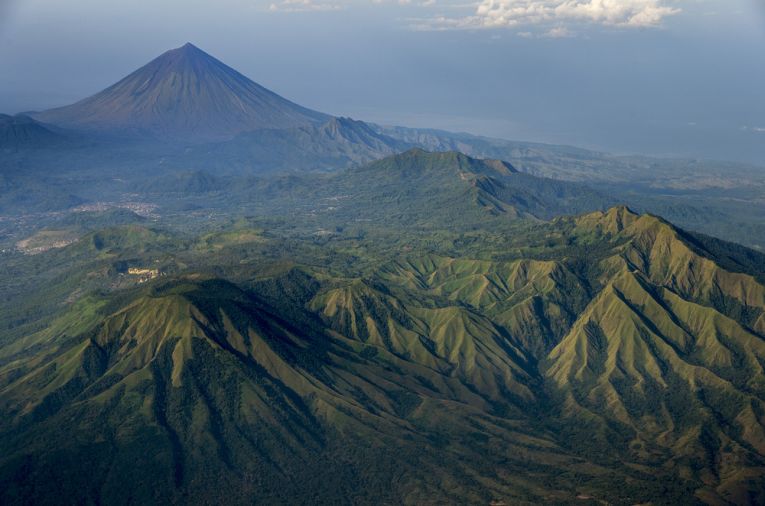 Flores Human Dwarf Debate