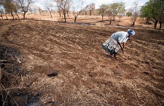 GODAN: Worldwide Hunger indicates Help Needed!