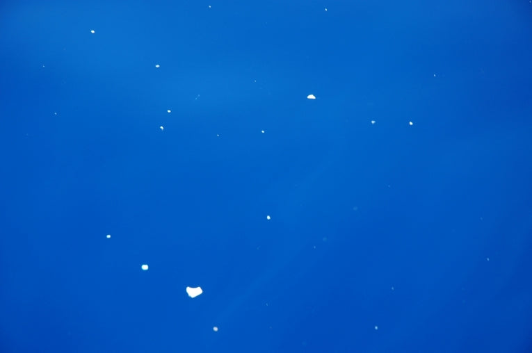 100-fold increase in plastic particle content of North Pacific Subtropical Gyre (Great Pacific Garbage Patch)