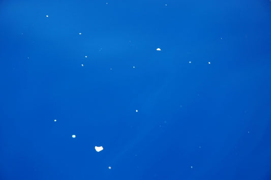 100-fold increase in plastic particle content of North Pacific Subtropical Gyre (Great Pacific Garbage Patch)