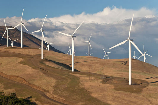 Tech Companies are Showing Businesses the Way to a Sustainable Future.