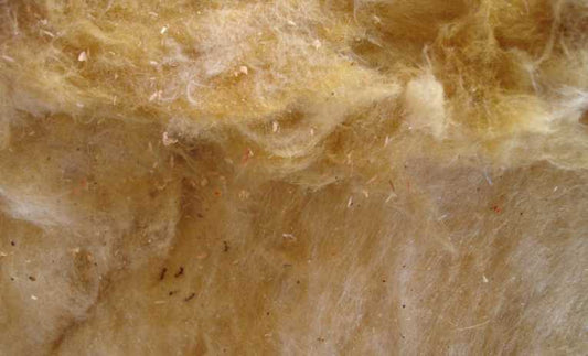 UK Government hopes new Energy Bill will help encourage Britons to go green