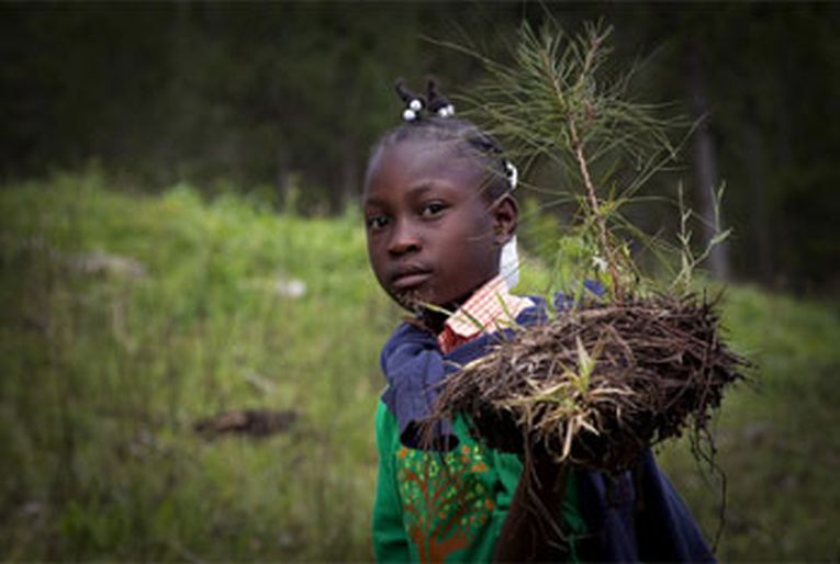 International Day of Forests and the Tree