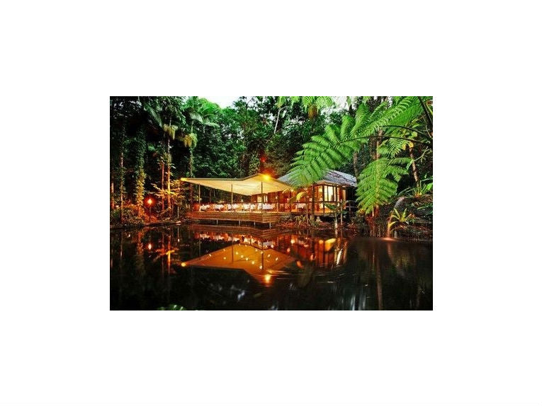 Hidden in Daintree Rainforest is Australia's ultimate eco-lodge