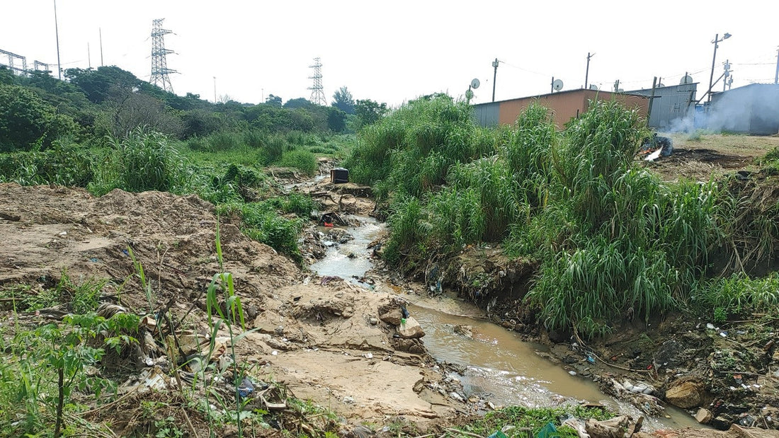 Climate Action on Flooding: The Efficacy of Durban’s Climate Change Action, South Africa